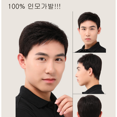 남자통가발인모100