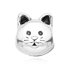판도라고양이