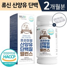 현대사회복지의이해