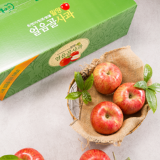 신복농원 [복팜] 밀양얼음골사과 햇사과 [부사5kg] 산지직송 GAP농가 농부직송, 1박스, 5kg-15과(중과)