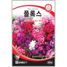 갯모밀