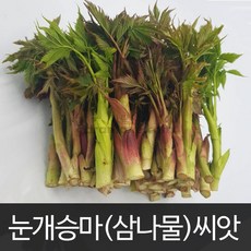 눈개승마 씨앗 삼나물 약초 채소 종자 토종 씨 500알, 1개