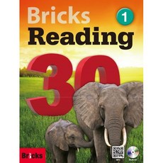 브릭스리딩30