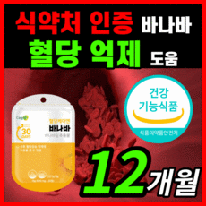 노플랜프로젝트