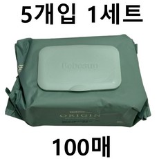 베베숲 오리진 물티슈 캡형 50평량, 100개입, 5개