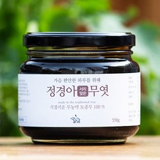 지리산농부들 정경아 무엿, 550g, 1개