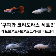 38f83a08debc50f16ab685e355a1e6d22a35b09f5522d5918d48cb56875c.jpg