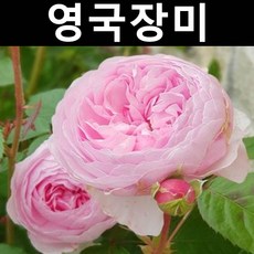 //상품명