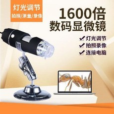 d782448b53a50e9693a0ca26895aec19e05721ac3ea86ca4a371338a271a.jpeg