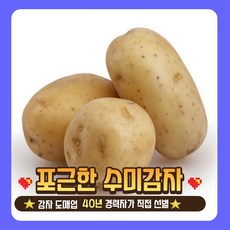 [가락시장 한사장] 2024년 국산 포근한 수미감자 5kg (도매 40년 경력자가 선별) [원산지:국산]