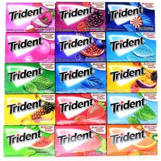 Trident Sugar Free Chewing Gum Variety 트리덴트 무설탕 껌 버라이어티팩 15팩