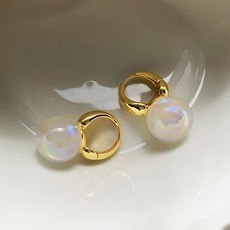 수지안나귀걸이