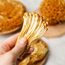 황금팽이버섯 갈색팽이버섯 200g 4팩, 황금팽이버섯 800g(200g 4팩), 4개