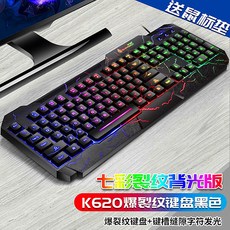 RGB 라이팅 이중사출 게이밍 기계식 키보드, K620 버스트 크랙 키보드, F206876