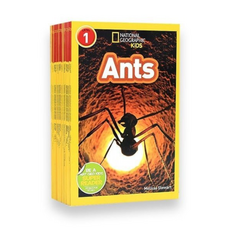 내셔널지오그래픽영어