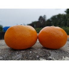 9ba537f33206ad62f33decce043a9c2ce5130972b49987de031c472b8327.jpg
