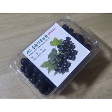 냉동레드커런트