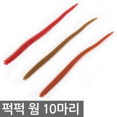다잡을꼬니