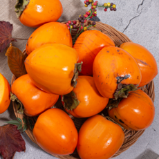 22brix 초고당도 쫀득하고 달콤한 대봉감, 1개, 10kg(랜덤과)