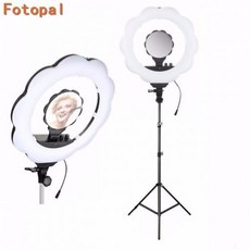 d33043f76196cae5d6b5e986dd44a30ec0be660a9a76ec6015bb7e0de3fd.jpg