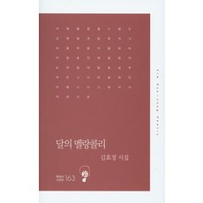 달의 멜랑콜리:김효정 시집, 한국문연