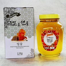 홍제원 소백산 100% 벌꿀 2.4kg, 1병