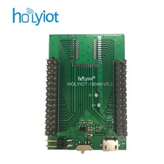 보안 출입통제기 Holyiot 다중 프로토콜 개발 키트 자동화 모듈 DK 보드 블루투스 5 BLE ANT NFC 2.4G nrf52840