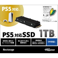 ps5ssd확장