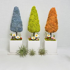 진급리본 율마사각화분 토피어리 축하선물 개업화분, 25.안트라자이트