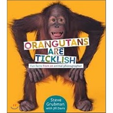 Orangutans Are Ticklish : Fun Facts from an Animal Photographer, Schwartz & Wade Books