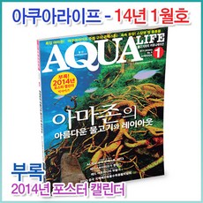 국가아쿠아리움