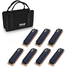 Pyle 하모니카 프로페셔널 황동 금속 커버 10홀 7피스 디아토닉 키트 - 블루스 하프 세트 수납 케이스 및 광택 천 프로 레슨 또는 밴드에 적합한 C 키 PAM48ST 4409