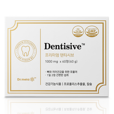닥터메타 프리미엄 덴티시브 치아 건강 칼슘 프로폴리스 영양제, 1개, 60정