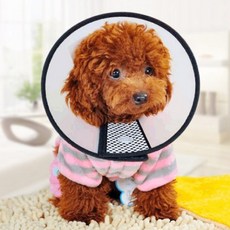 트바웃 애완동물 긁음방지 넥카라 깔대기 TRICDG101, 1개, 반투명