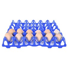 계란판 란좌 부화기 전란 닭모이통 닙플, 파란색, 1개