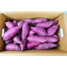 [영암] 꿀고구마 달콤포근 찜용 고구마, 1개, 1kg