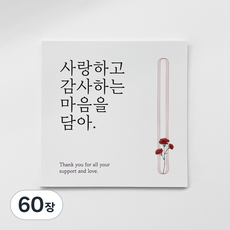 감사 메시지 카드 엽서 30장, 60장