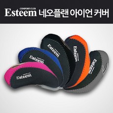 이스팀 네오플랜 아이언 커버, 1.그레이