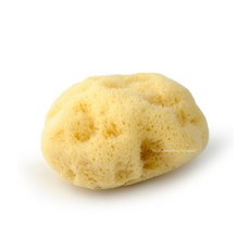 라그랑천연해면스펀지
