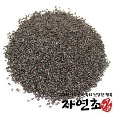 바질시드 500g 바질씨앗 바질씨드 BASIL SEED, 1개
