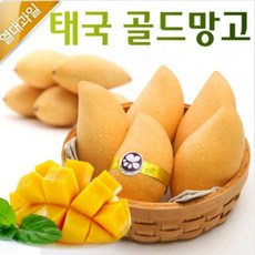 김천자두5kg