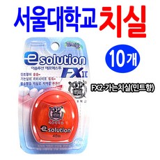 서울대치실