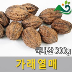 다래열매