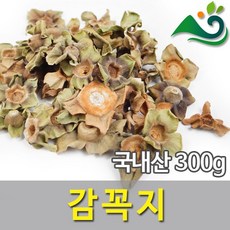 맛있어서귀여워서또보게되는물고기도감