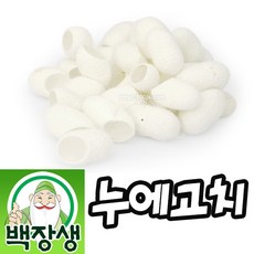 누에고치