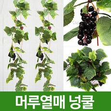 597a88a1-cee5-4cbd-bb15-a03fa9a5ecad.jpg