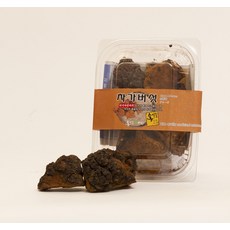 송일품약용버섯 차가버섯, 100g, 1개