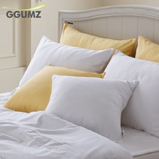 로프트가든모던솔리드