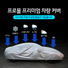 프로몰 차량커버, 실버