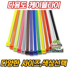 레지나팜